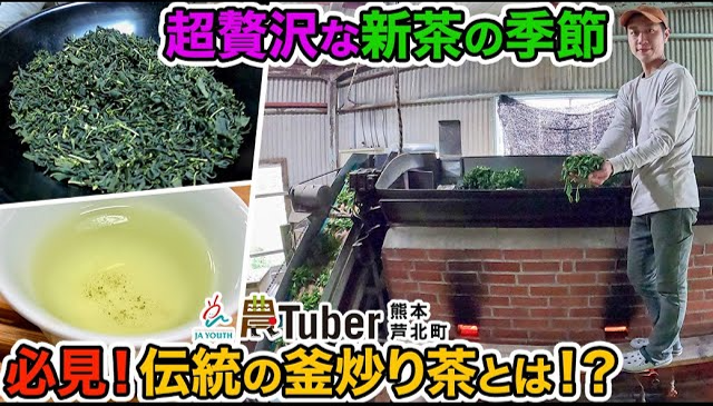 熊本・超贅沢な新茶の季節、必見！伝統の「釜炒り茶」とは！？～熊本・芦北町～ 第4代農Tuber 梶原康弘 / JAグループ「農Tuber」ちゃんねる